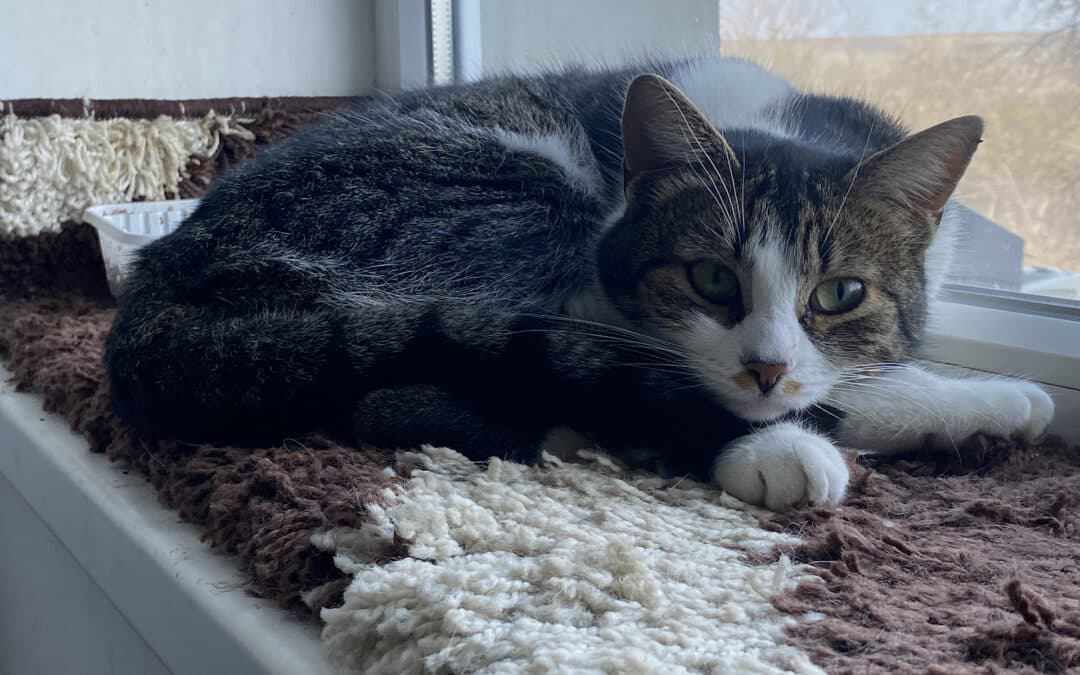 Barbie – tauchte an der neuen Halle auf