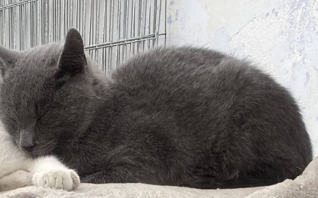 Blue – Vom Baumarkt Parkplatz