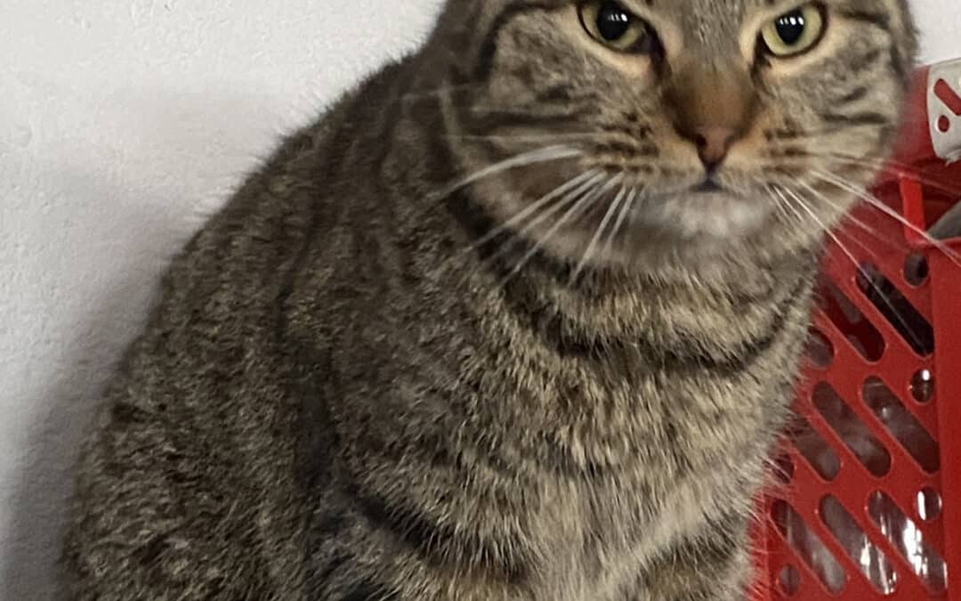 Conny – vom Baumarkt Parkplatz