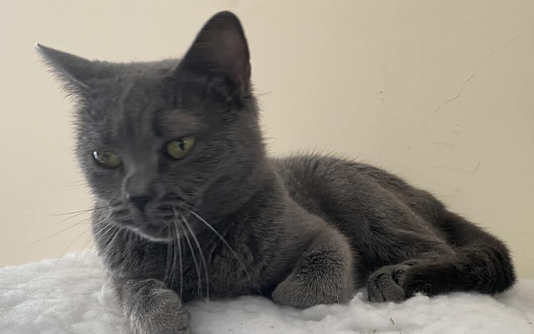 Fiona – die plötzlich Ungewollte