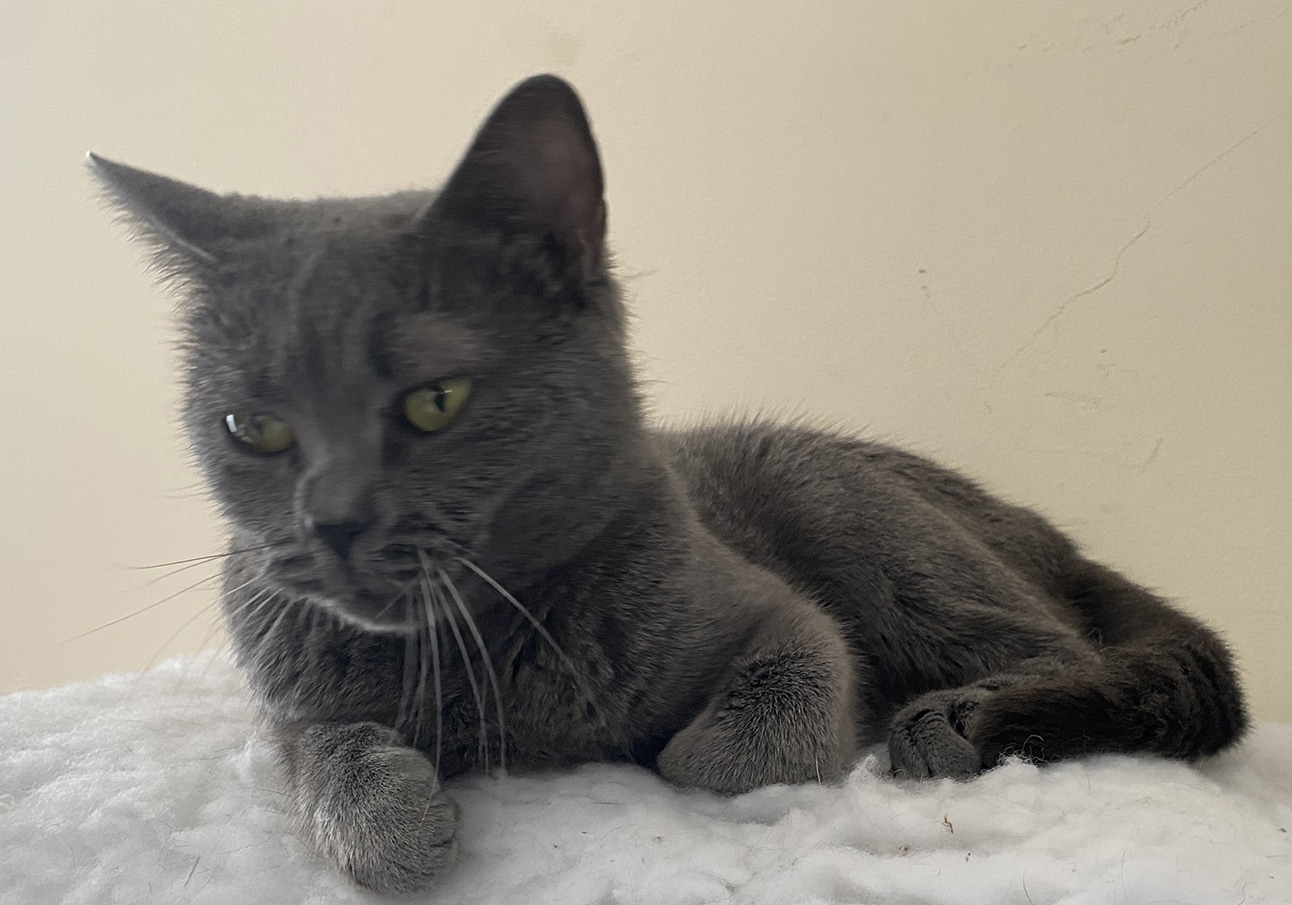 Fiona – die plötzlich Ungewollte