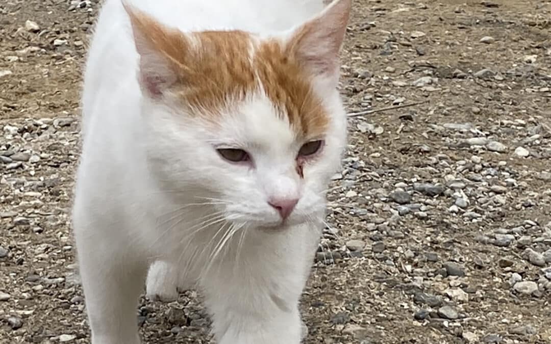 Hero – vom Parkplatz vom Baumarkt