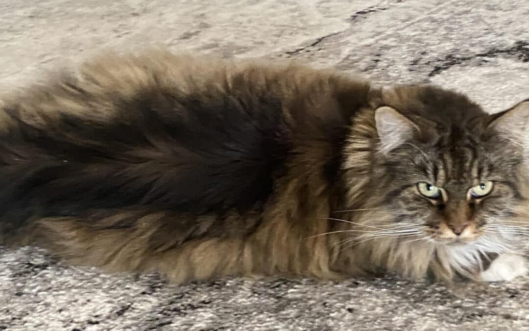 Lea – unsere Allererste