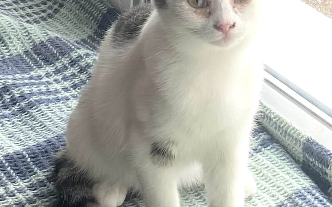 Lilly – wollte zu uns