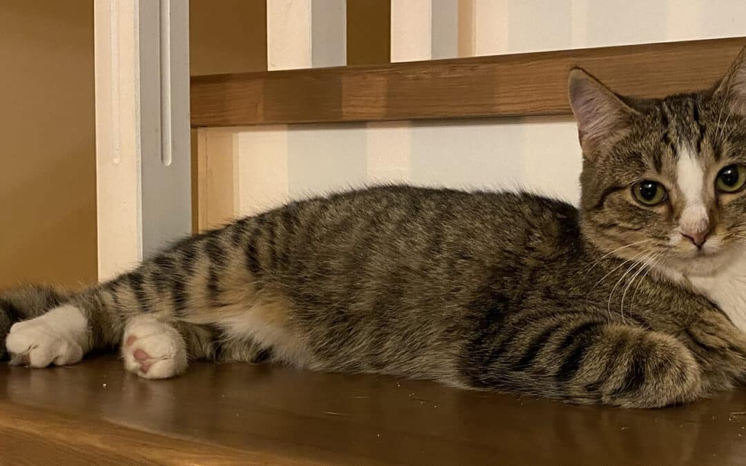 Loni – wollte nach England