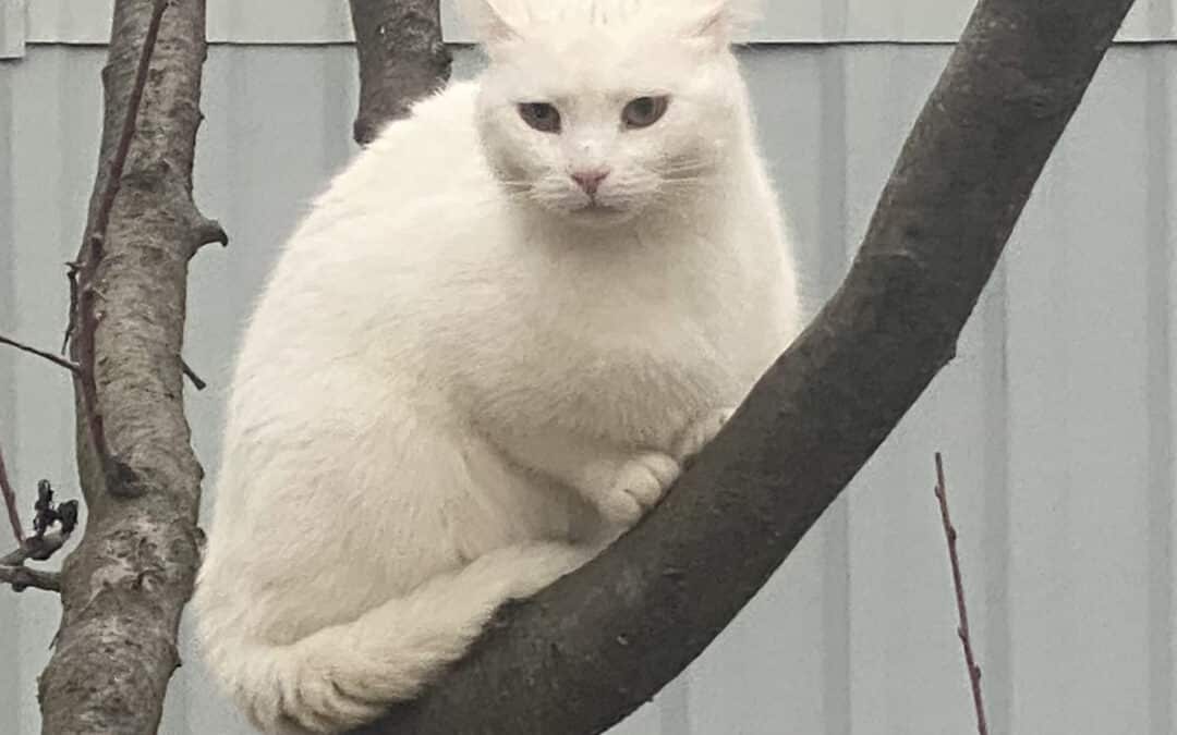 Lucky – hat unglaubliches Glück gehabt