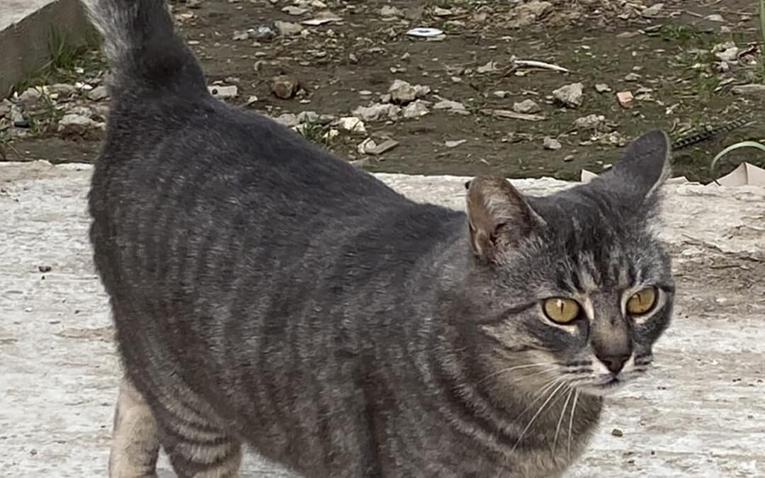 Nastassia – saß an der Tankstelle