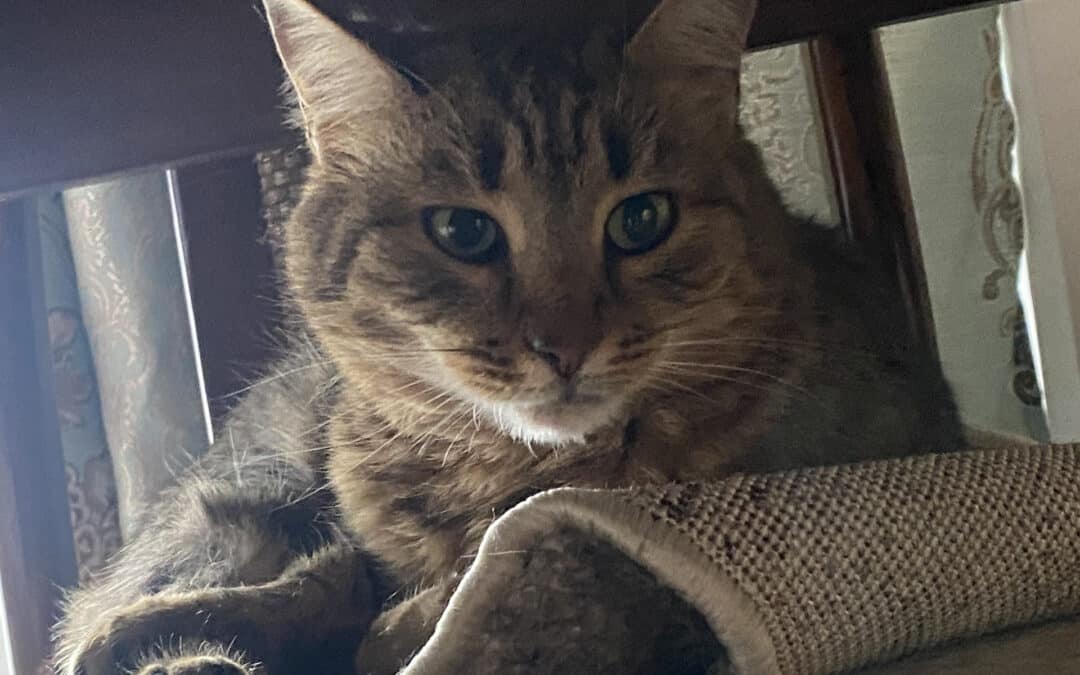 Nitza – aus dem alten Dorf