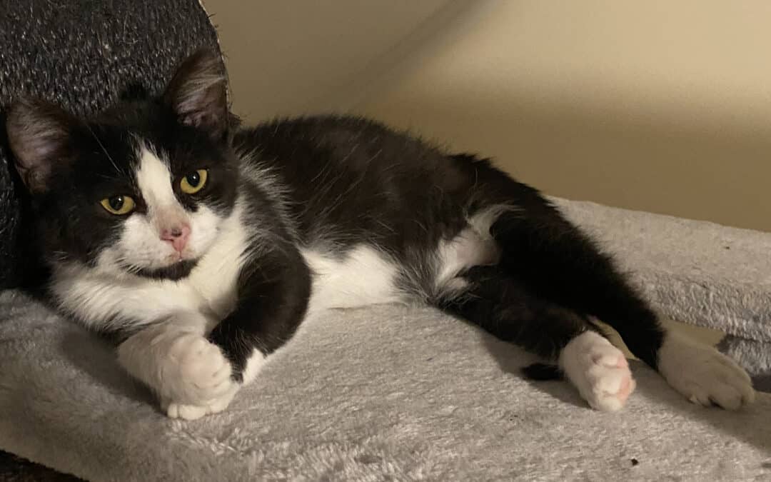 Schnuti – zur richtigen Zeit am richtigen Ort