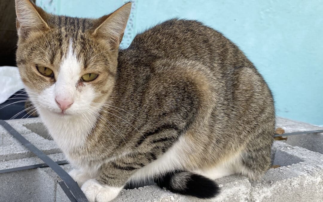 Socki – mit ihrer Mutter zusammen angekommen