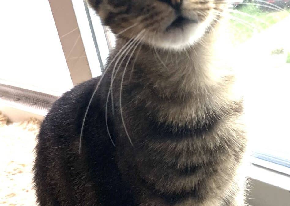 Terno – der ewig leben soll