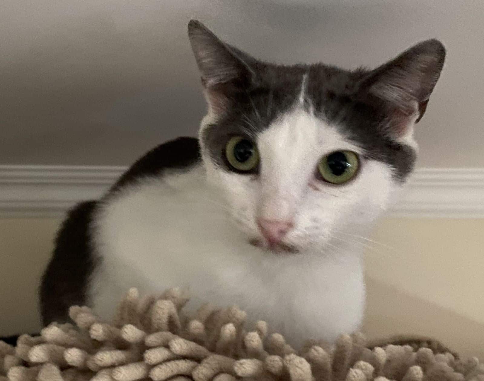 Michichika – Die kleinst-kleinste